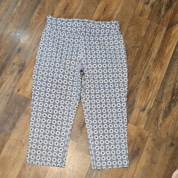Zac & Rachel Pants - 👖Zac & Rachel Blue and White Cropped Pants
